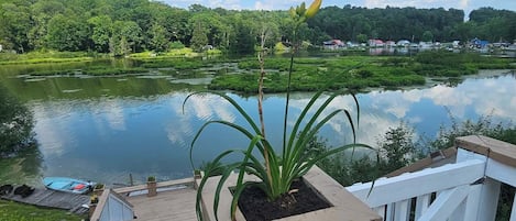 A deck with a view of a lake and forest.