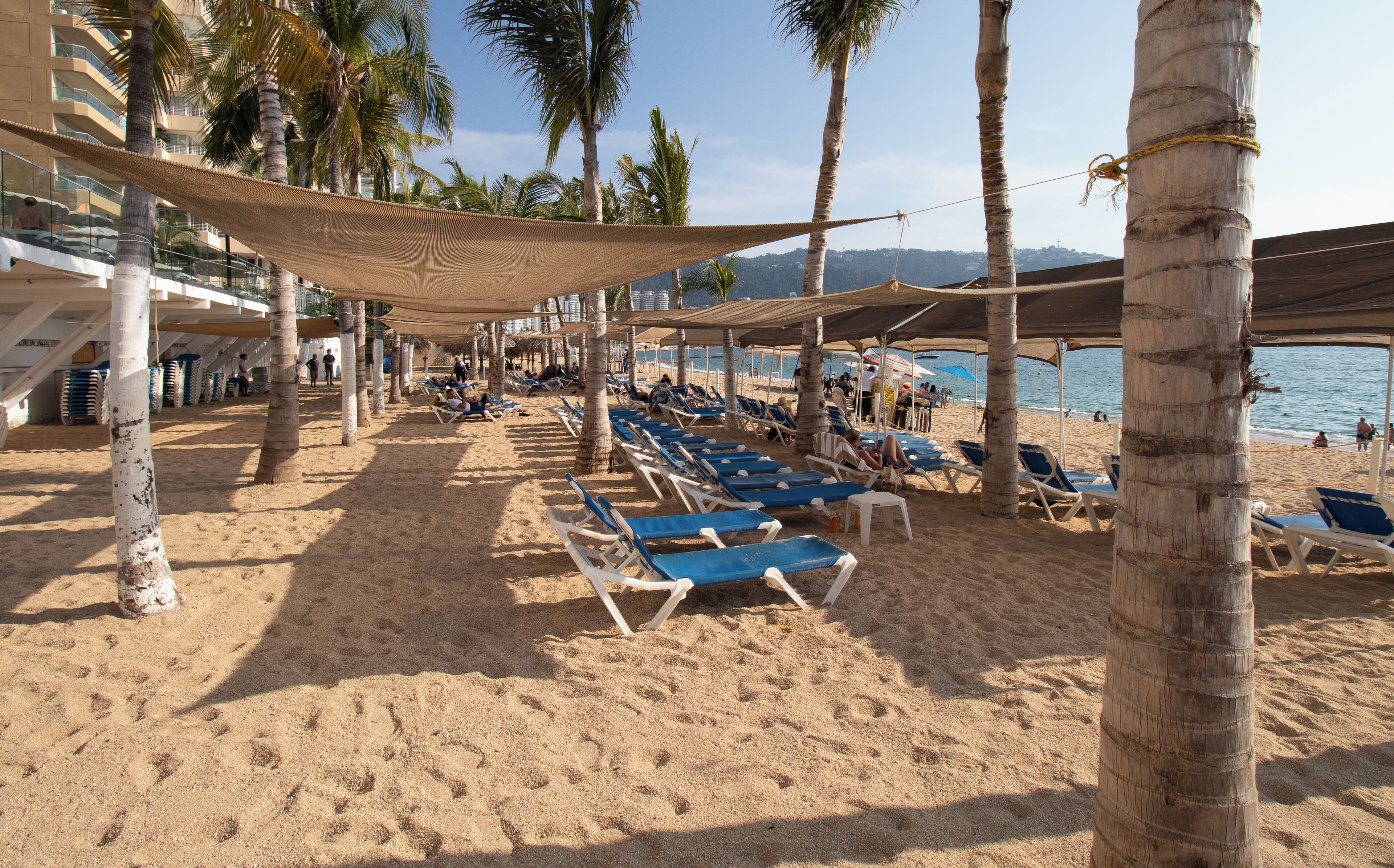 A beach with rows of blue lounge chairs under shaded areas, palm trees, and a view of the sea.