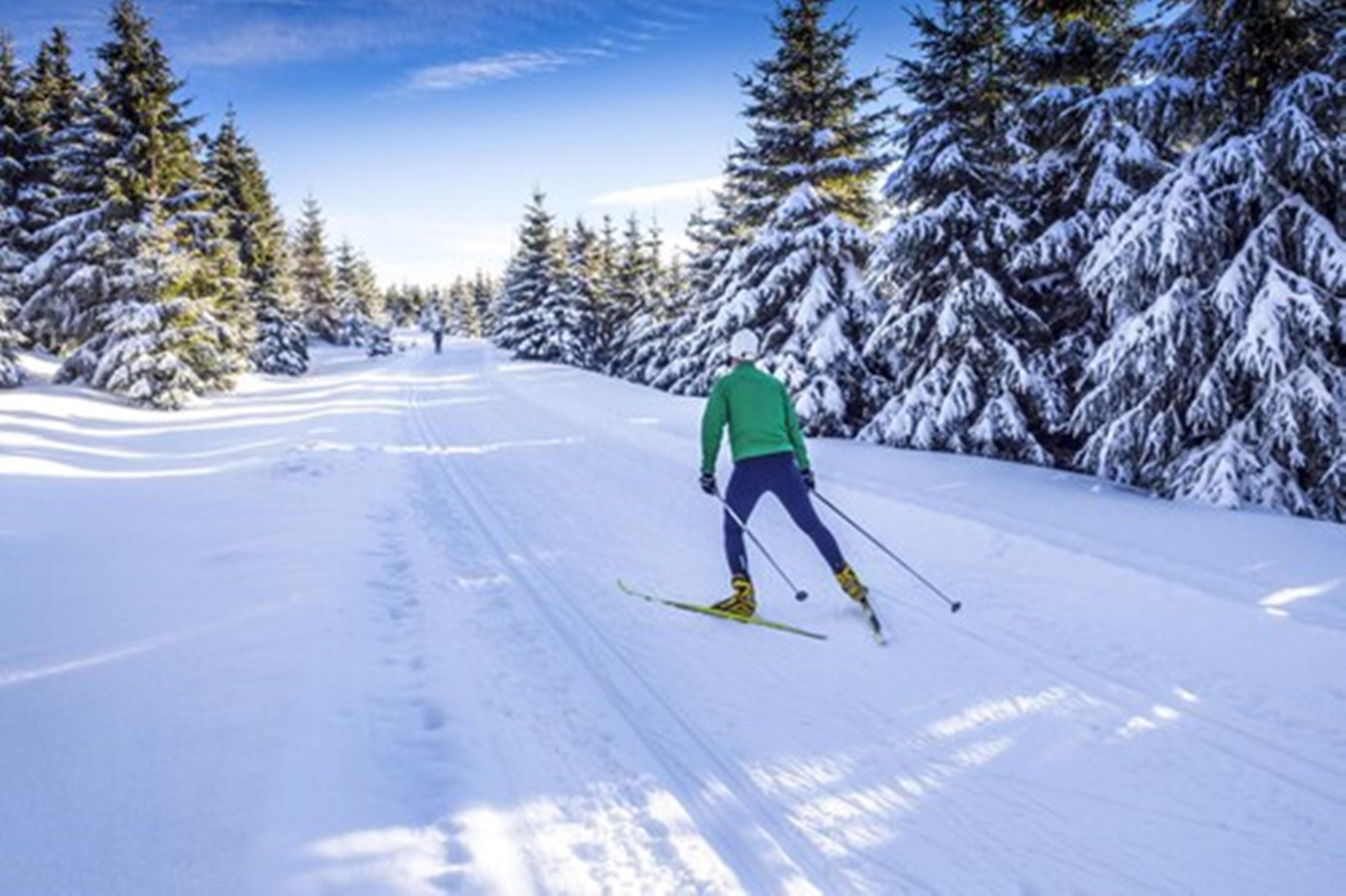 A person skiing down a snow-covered path surrounded by trees.