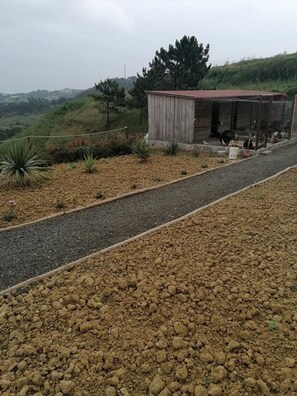 Property grounds - Land and sea study with heated pool (Santo Isidoro)