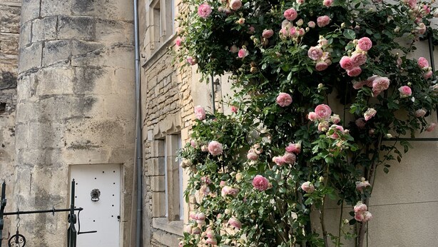 Un edificio in pietra con un roseto che si arrampica lungo la parete.