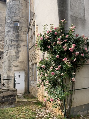 A stone building with a rose bush climbing up the wall. - Round Tower Residence (Champlitte)