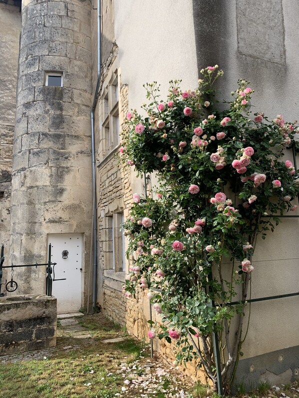 Exterior detail - Demeure de la tour ronde (Champlitte)