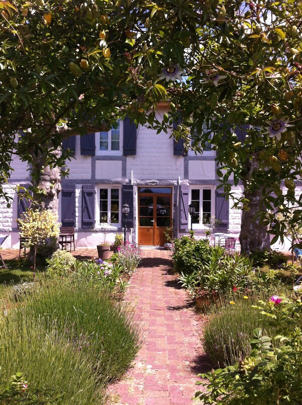 Front of property - Entre Mer et Pins (Saint-Julien-en-Born)