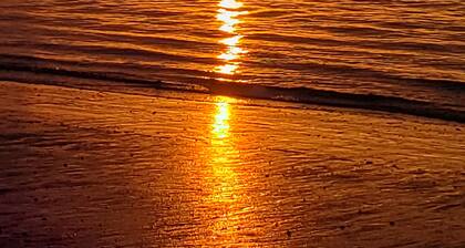 Oceanfront Condo with beautiful Sunsets - Dolphins, Pools, and family fun