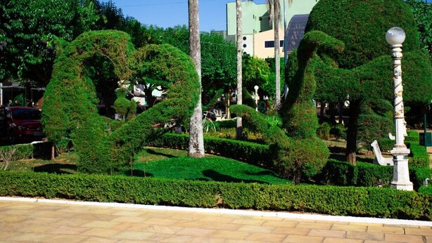 Un jardin bien entretenu, avec des haies taillées avec soin et une variété d’arbres, notamment des palmiers.