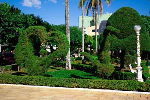 Hotel Novo Horizonte - By UP Hotel