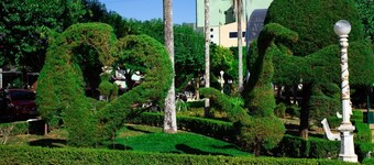 Hotel Novo Horizonte - By UP Hotel