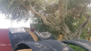 Des fauteuils de jardin, avec un arbre et de l’herbe en arrière-plan.