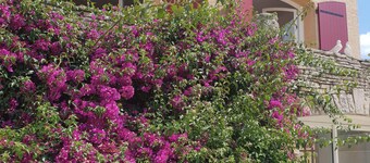 Villa "la noune" with fully air-conditioned pool near the beach