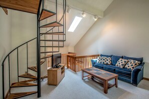 TV connectée, cheminée, jeux vidéo, lecteur de DVD