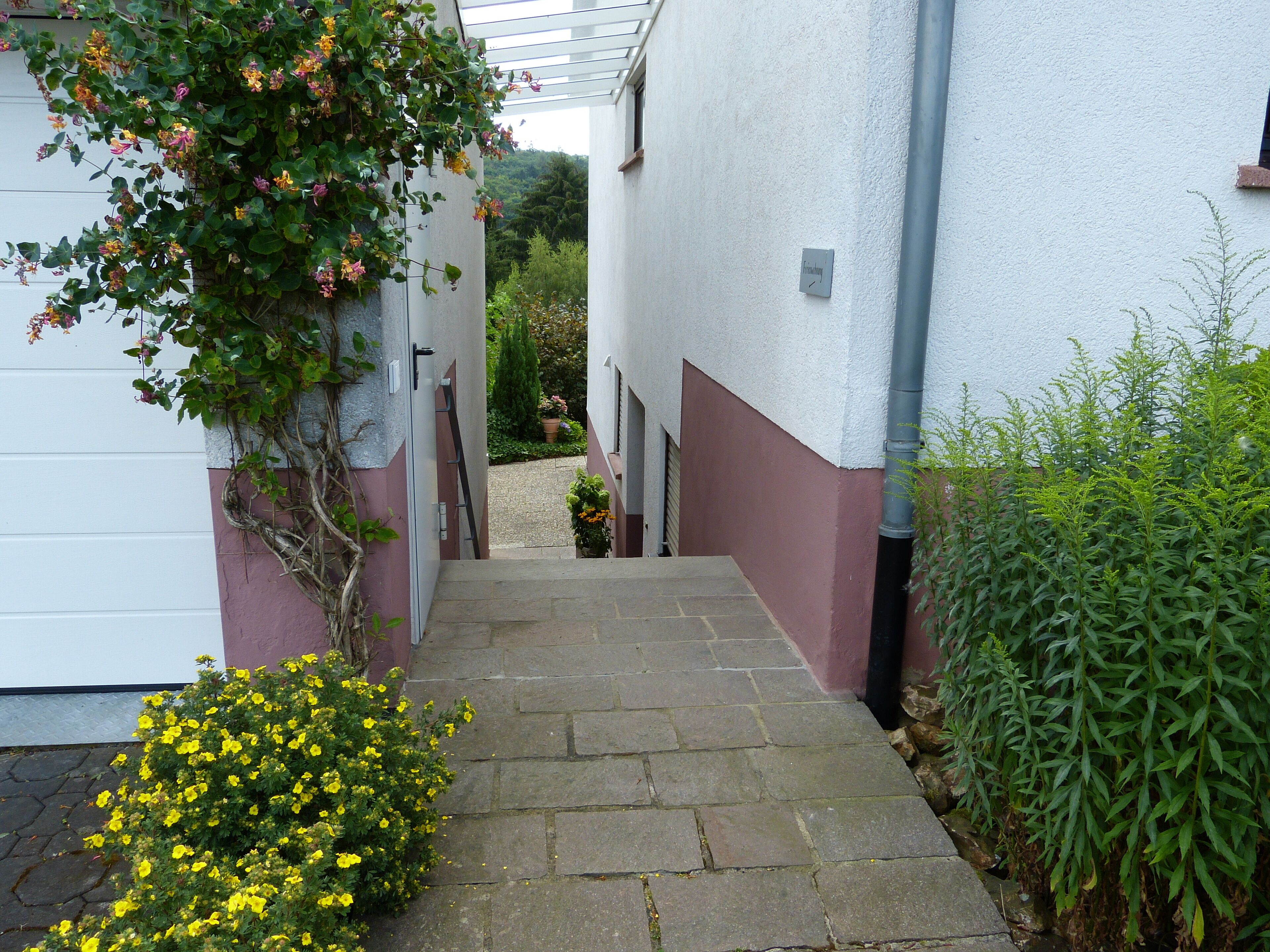 A narrow stone pathway leading to a building entrance with a white and pink facade, a small garden with yellow flowers, and a metal pipe running along the wall.