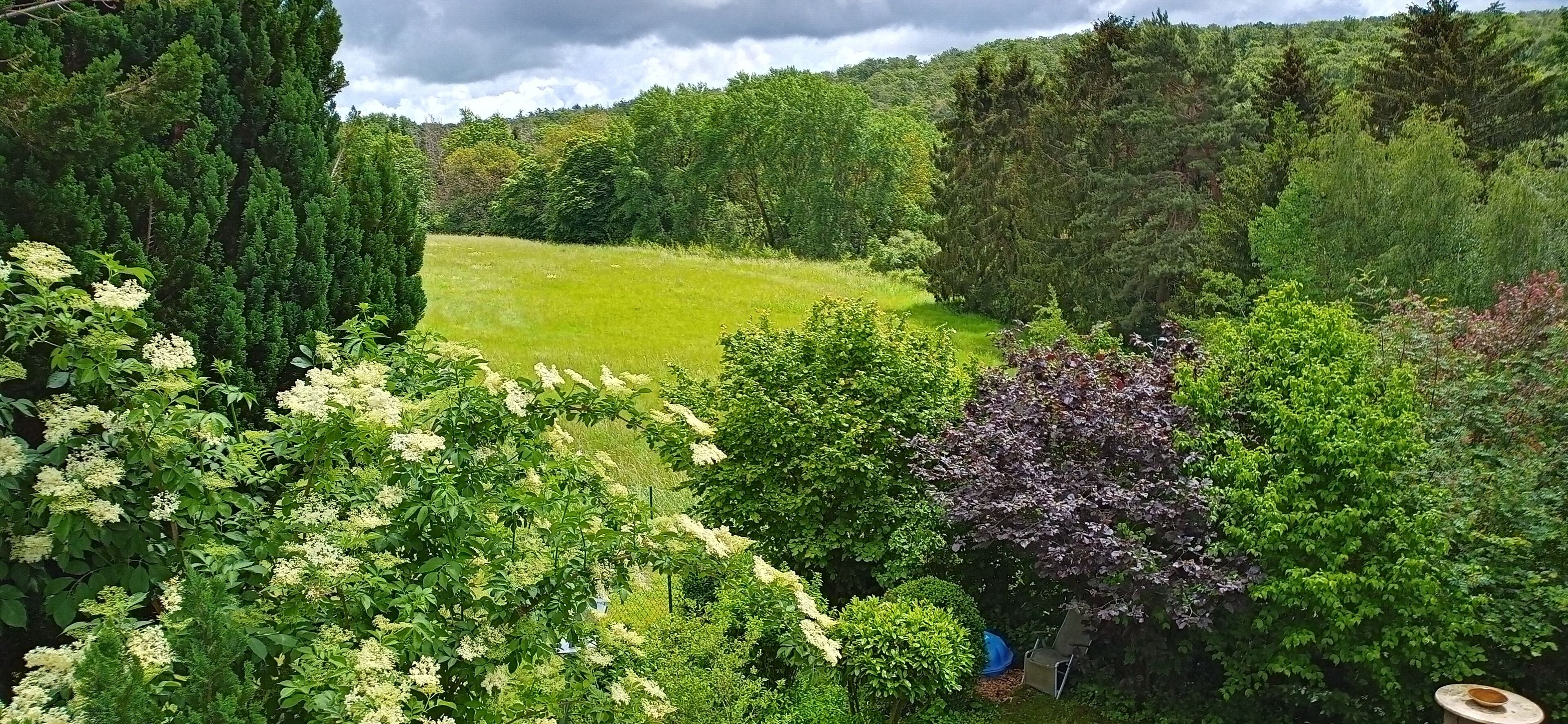 Un jardin luxuriant, avec une grande variété d’arbres et d’arbustes, une pelouse verdoyante et un petit espace aménagé avec une chaise et une table.