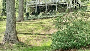 Une cabane rustique dotée d’une terrasse en bois et d’une seule fenêtre, entourée d’une forêt dense.