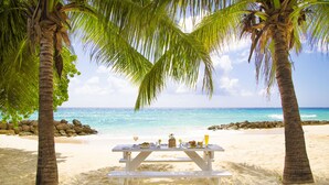 Una mesa de picnic en la playa con comida y bebidas, rodeada de palmeras y el océano.
