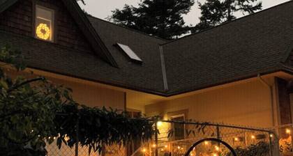 Gorgeous Property with private entry and backyard & pets welcome!