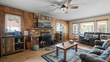 TV connectée, cheminée, lecteur de DVD