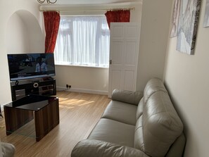Smart-TV, Kamin