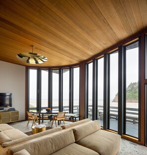 Smart TV, chimenea, reproductor de DVD y libros