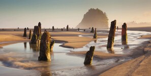 Serviettes de plage