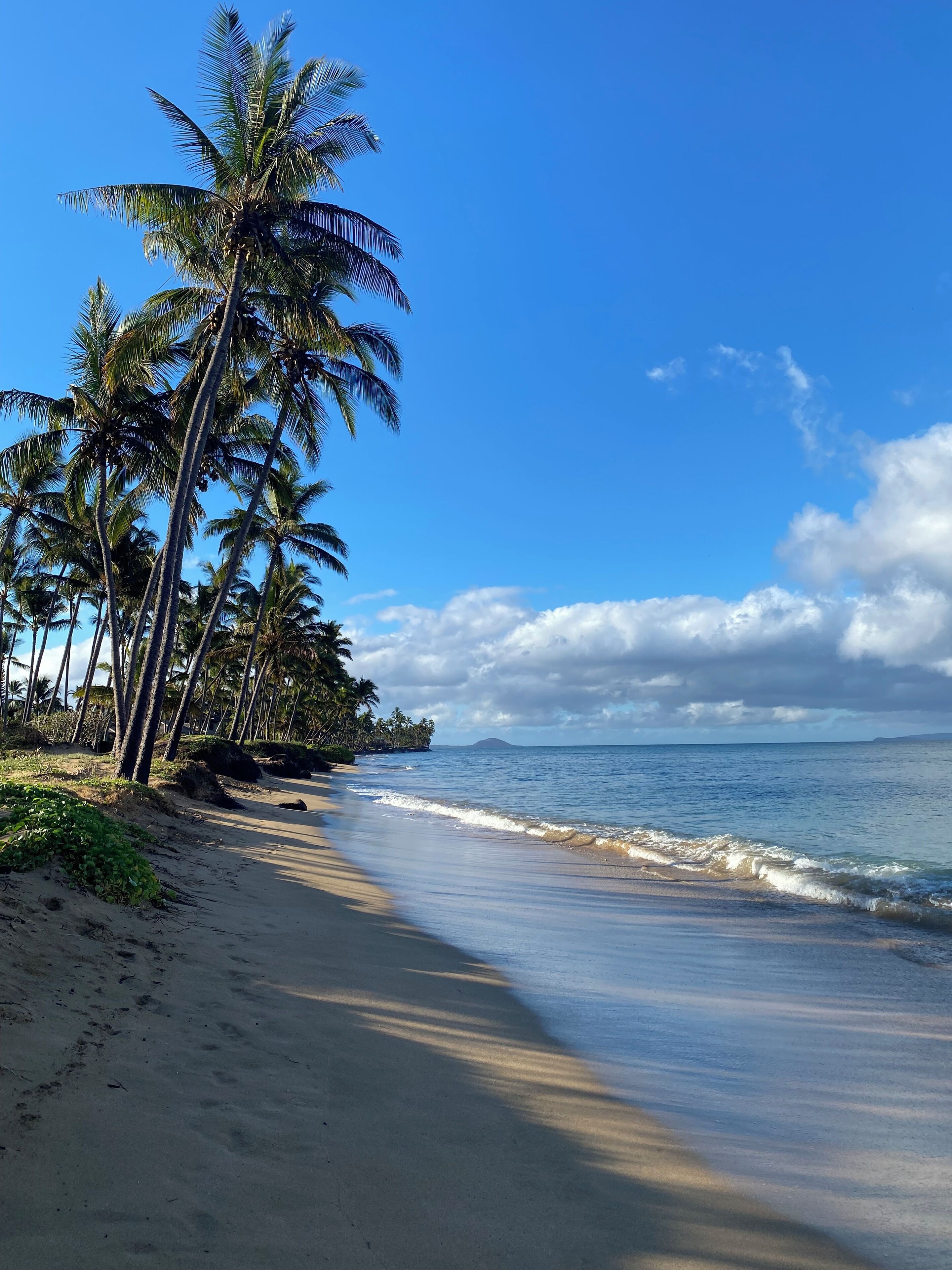 On the beach, sun loungers, beach towels
