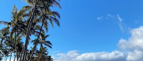 En la playa, sillas reclinables de playa, toallas de playa