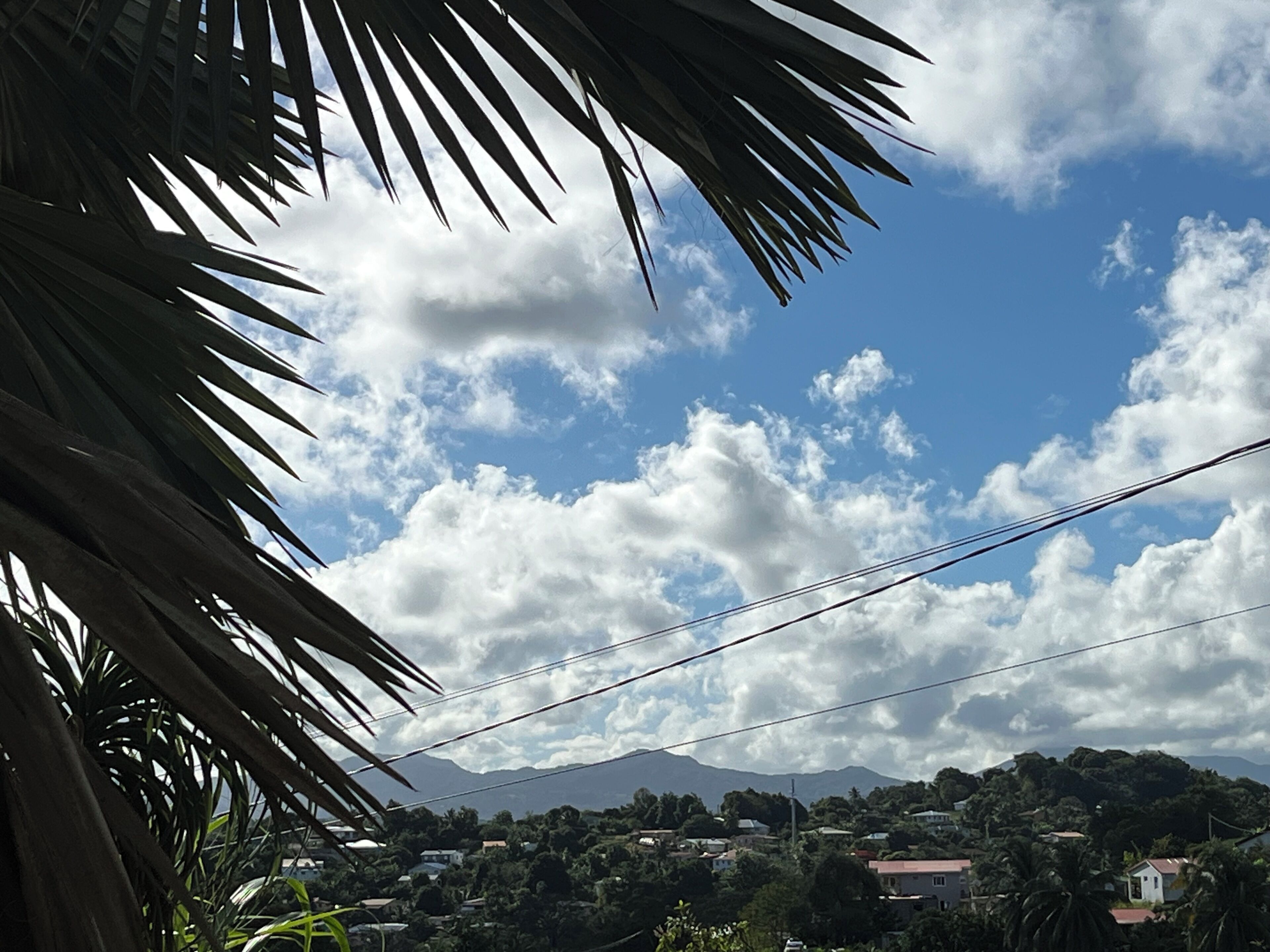 A view of a residential area with houses, palm trees, and mountains in the background.