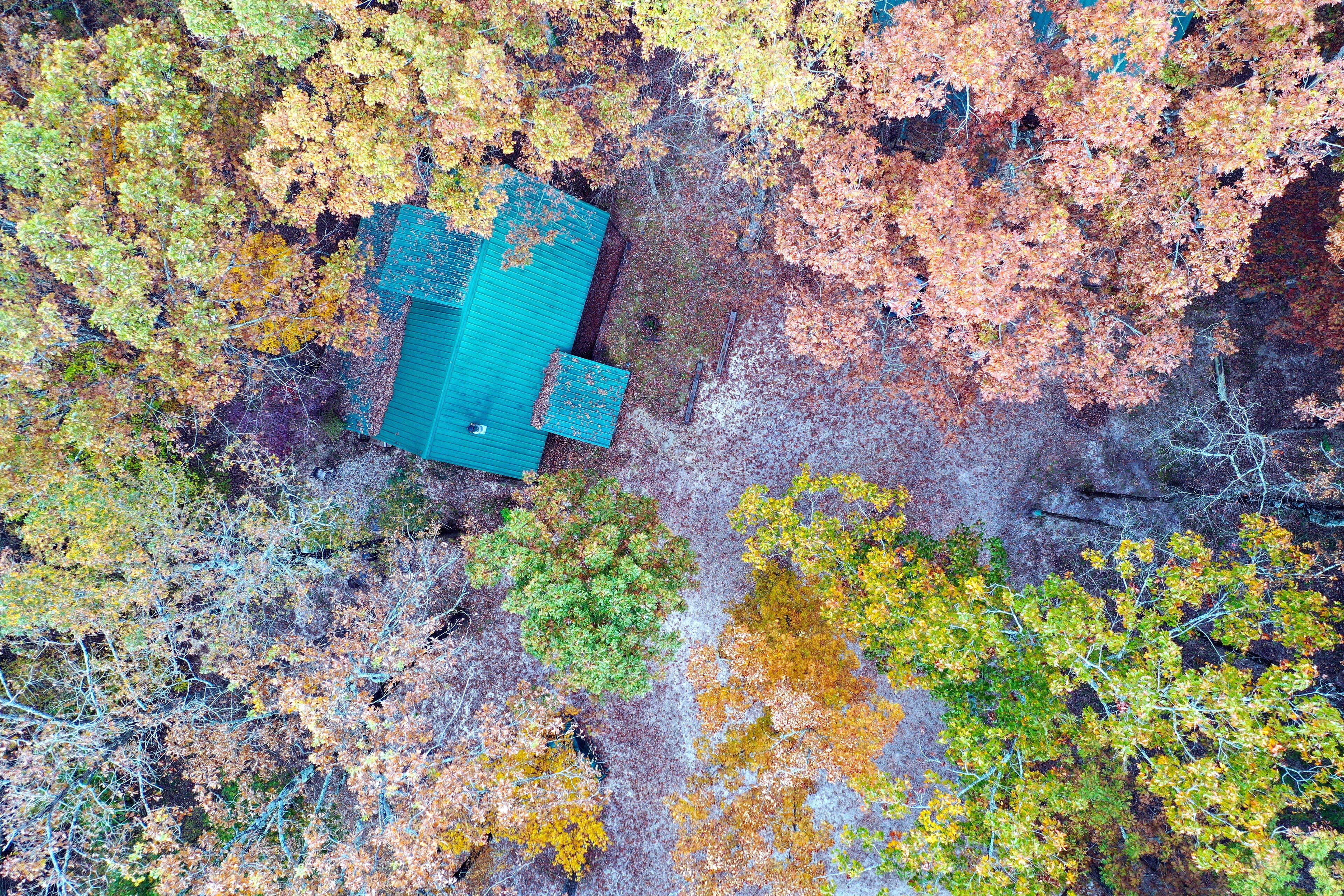 Eine Luftaufnahme eines Hauses, umgeben von Bäumen in Herbstfarben.