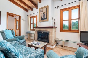 TV, fireplace