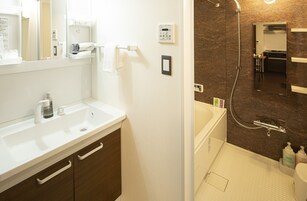 Un baño con un lavamanos blanco, un espejo, un perchero para toallas, una ducha con cabezal de ducha manual y un inodoro.