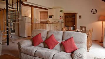 Una Smart TV, una chimenea, Netflix, un reproductor de DVD