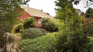 A red barn with a metal roof surrounded by lush greenery and trees.
