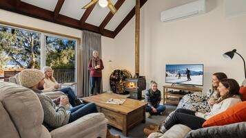 TV connectée, cheminée, Netflix, lecteur de DVD