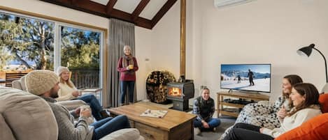 TV connectée, cheminée, Netflix, lecteur de DVD