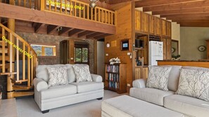 Smart TV, fireplace, Netflix, books