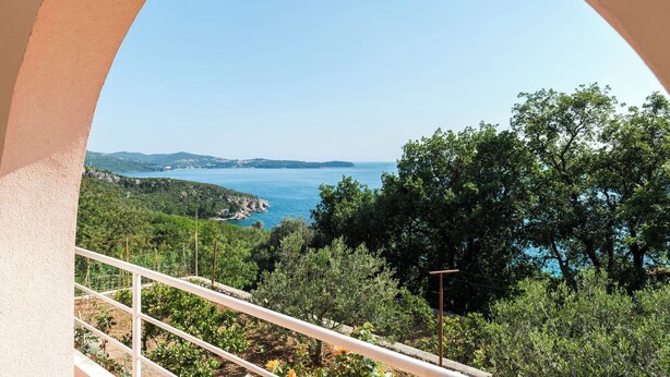 A balcony with a view of a coastal landscape, including trees and a body of water. - Villa Barbara (Zupa dubrovacka)