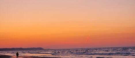 بالقرب من الشاطئ