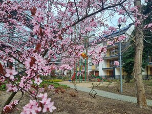 Een park met kersenbloesems, speeltoestellen en een gebouw met balkons.