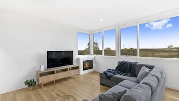 テレビ、暖炉、書庫、書斎 / ワークスペース