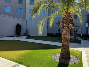 Garden - Courtyard by Marriott Mesa At Wrigleyville West (Mesa)