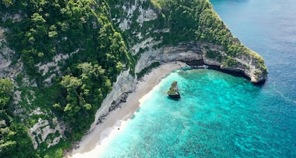 Relaxation and luxury in Jungle Paradise