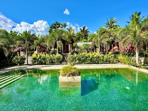 Relaxation and luxury in Jungle Paradise