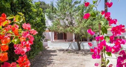 Pimpioxelli Guest House Tonnare