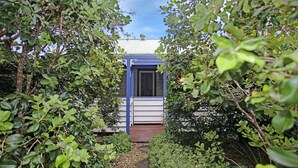 A house with a blue door and white walls, surrounded by dense greenery. - Sunroom Cottage - 40A Witt Street (Tea Gardens)