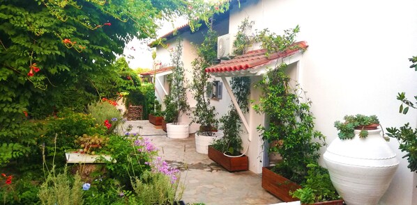 Property grounds - Ckiathi (Skiathos)