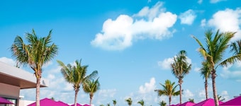 Planet Hollywood Adult Scene Cancun, An Autograph Collection All-inclusive Resort - Adults Only