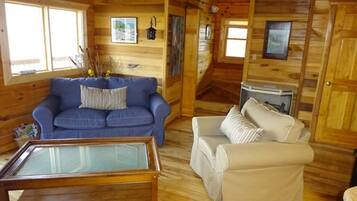 TV, fireplace, DVD player