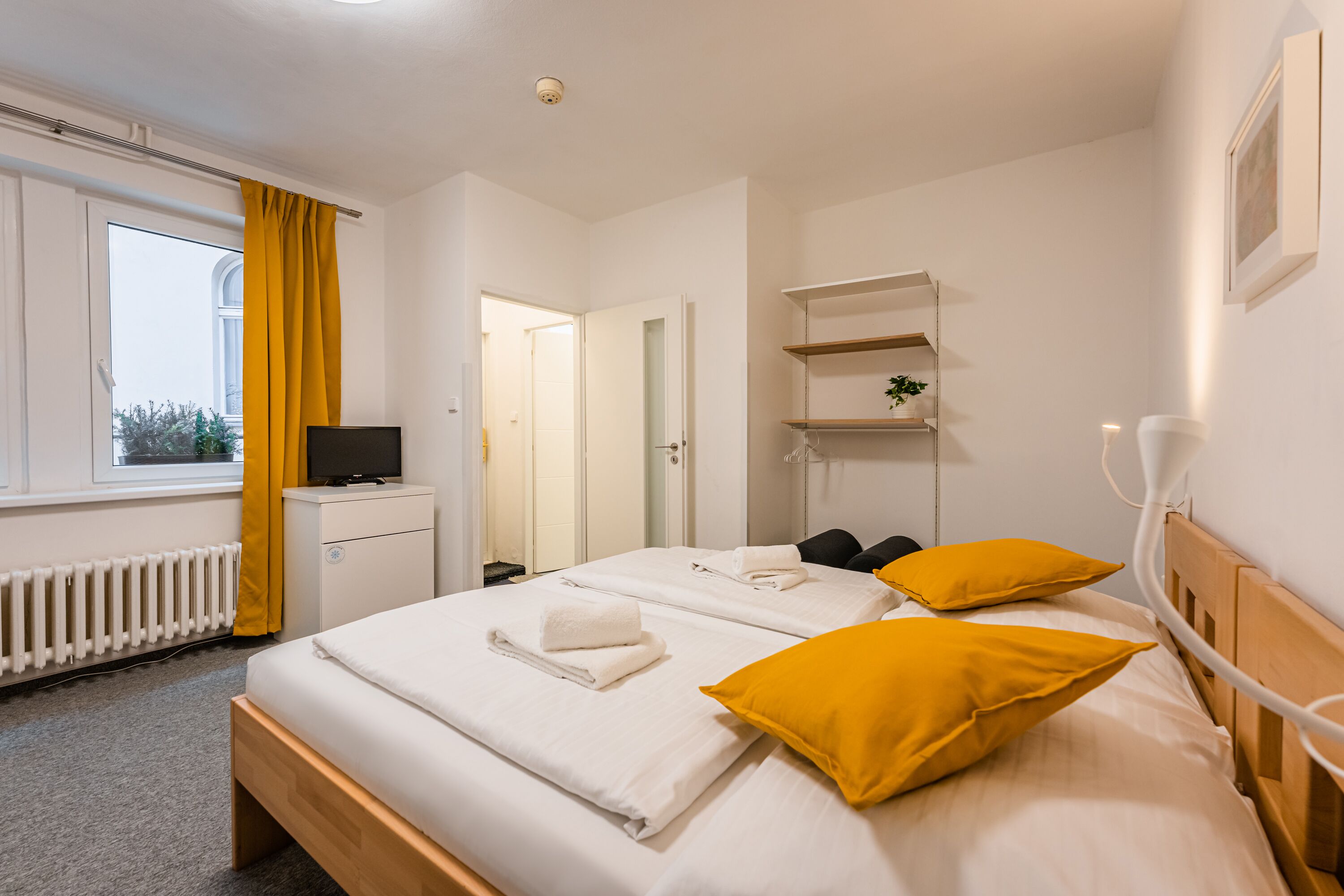 Una habitación de hotel con una cama, un televisor, una estantería con una planta y un radiador.