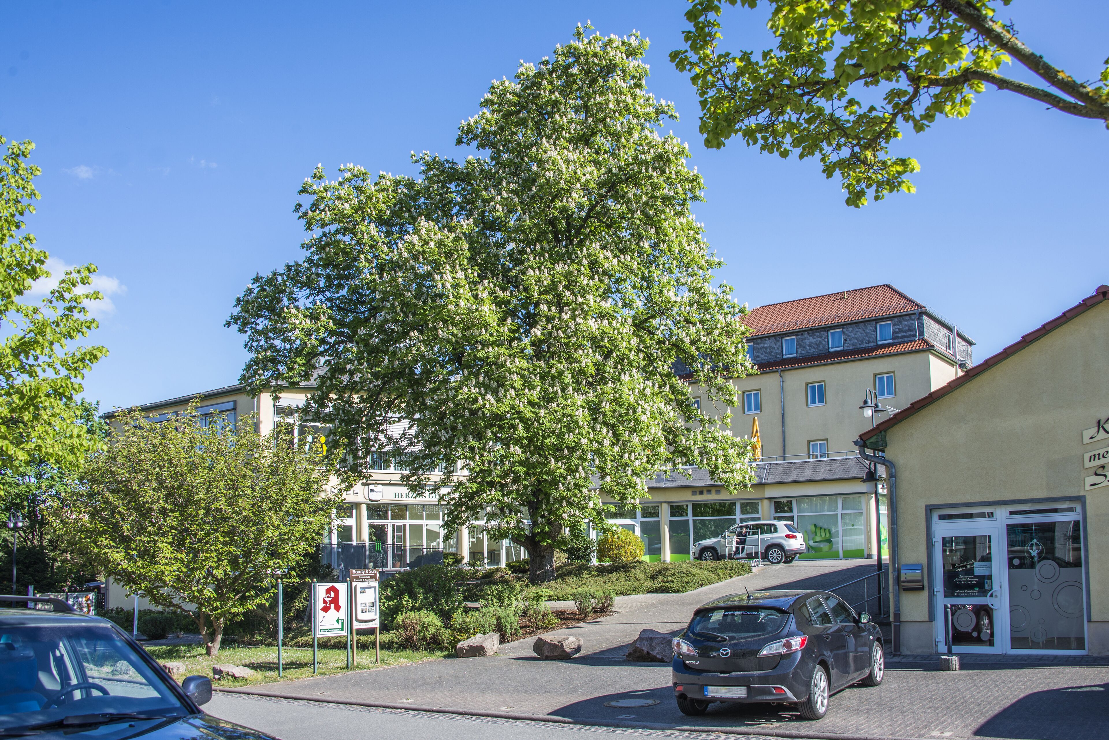 A building with a modern design, a parking area, and a tree in front.