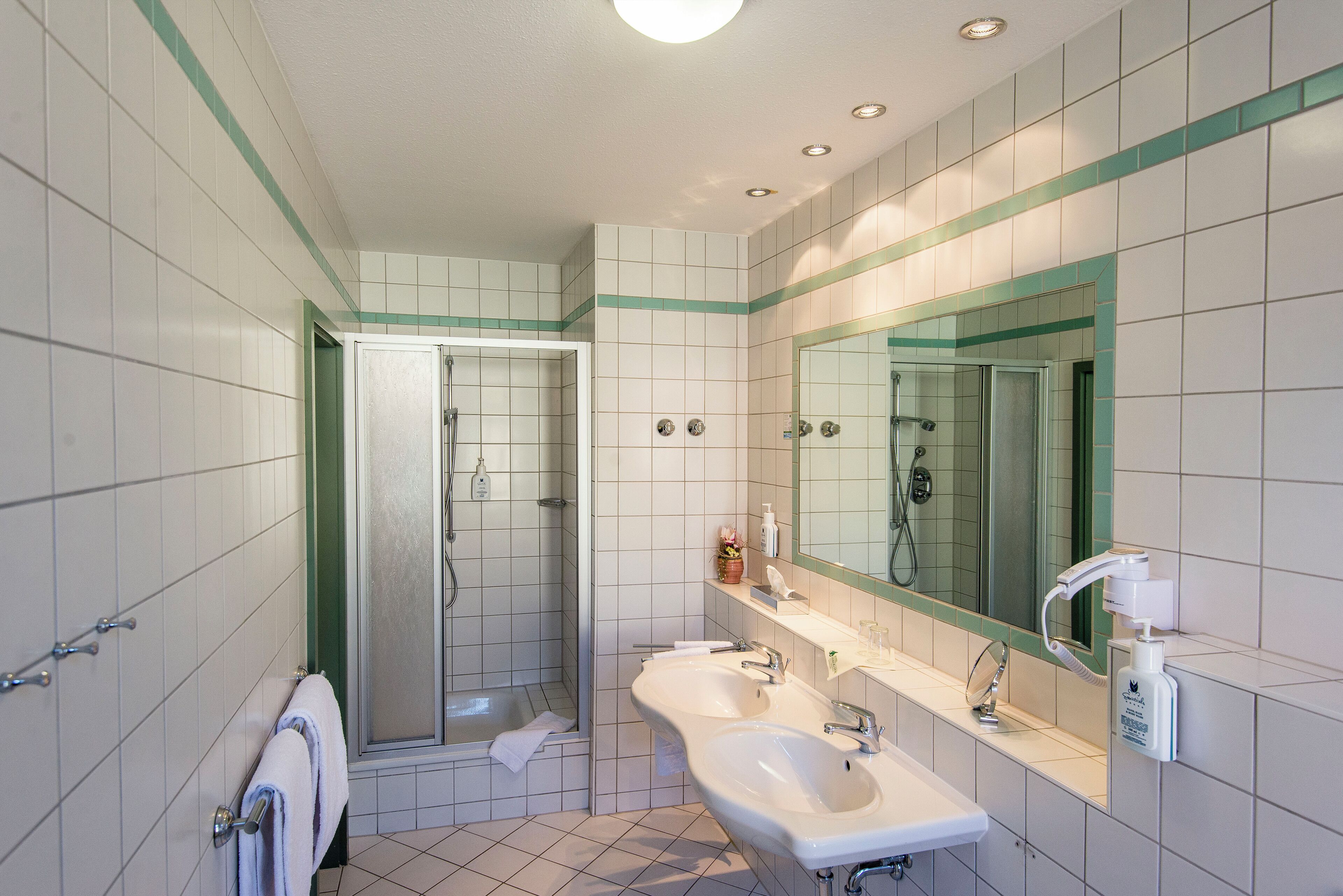 hair dryer, towels, soap, shampoo